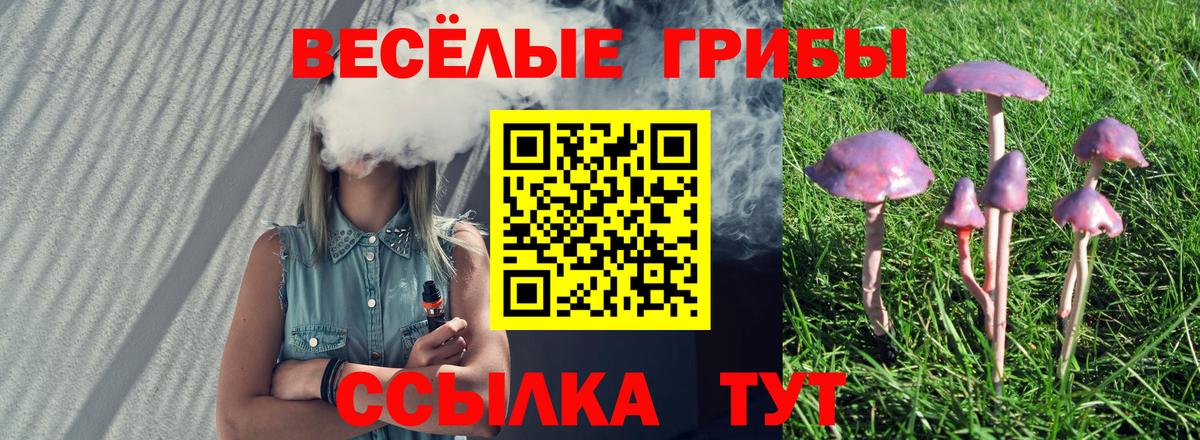 Галлюциногенные грибы мухоморы  как найти закладки  Вход с VPN  Гай  Псилоцибиновые грибы GOLDEN TEACHER 